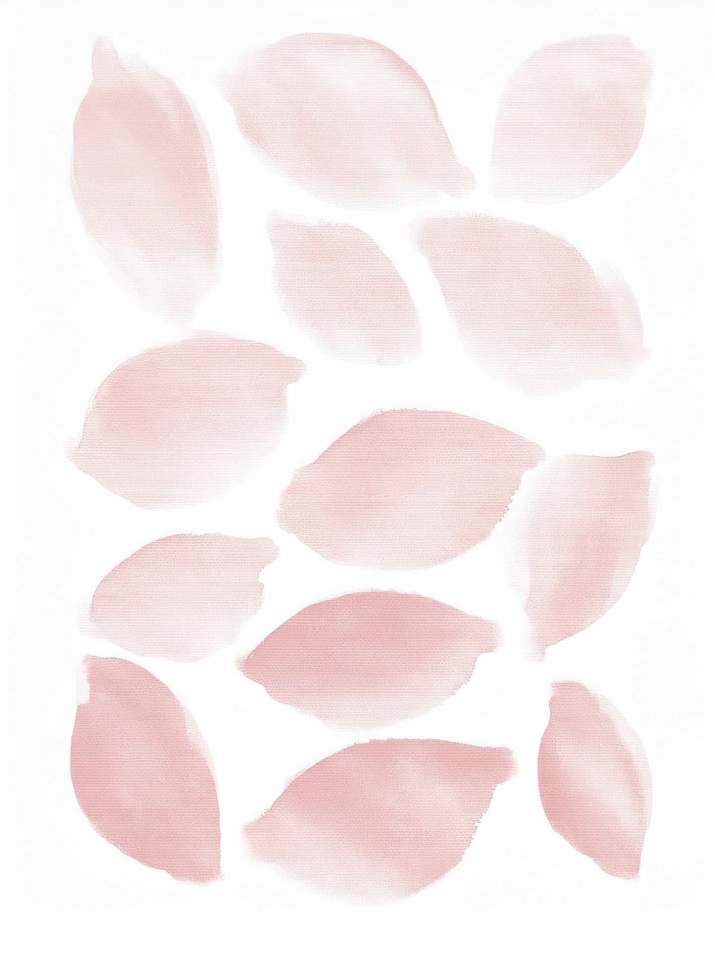 Soft Petals