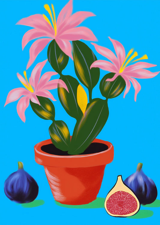 Fig Bloom